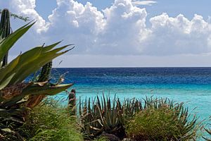 zee zicht aruba