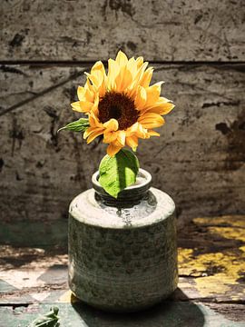 Vase mit Sonnenblume von Martijn Hoogendoorn