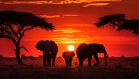 Elephants in africa at sunset panorama by TheXclusive Art thumbnail