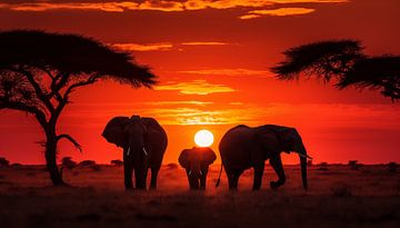 Eléphants en Afrique au coucher du soleil panorama sur TheXclusive Art