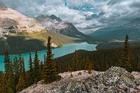 Peyto Lake