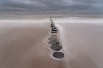 Calm in the storm van Louise Poortvliet