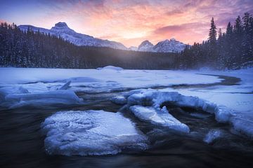 Sunset in the Rocky Mountains by Daniel Gastager