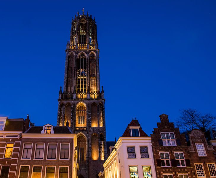 Dom kerk van Utrecht van Daan Kloeg