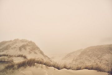 Terschelling - Kaapsduin-Nebel von Bart Lindenhovius