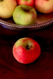 Still Life by Thomas Jäger