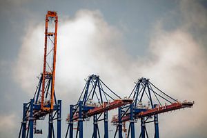 Hijskranen voor overslag containers op de Tweede Maasvlakte, Rotterdam