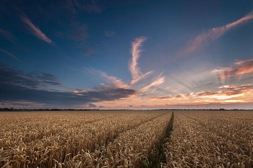 Zonsondergang boven het Graanveld