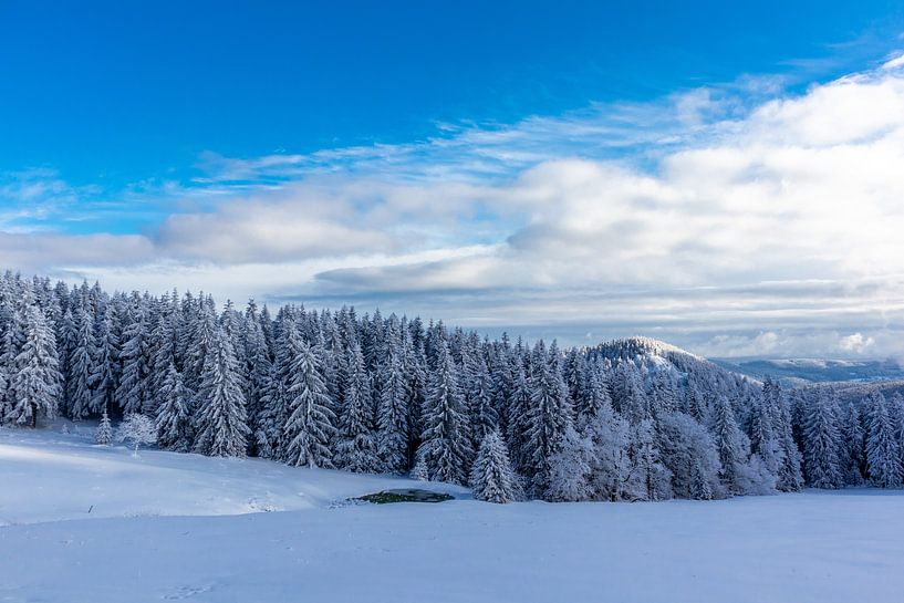 Winter Wonderland Thüringer Woud bij Schneekopf van Oliver Hlavaty