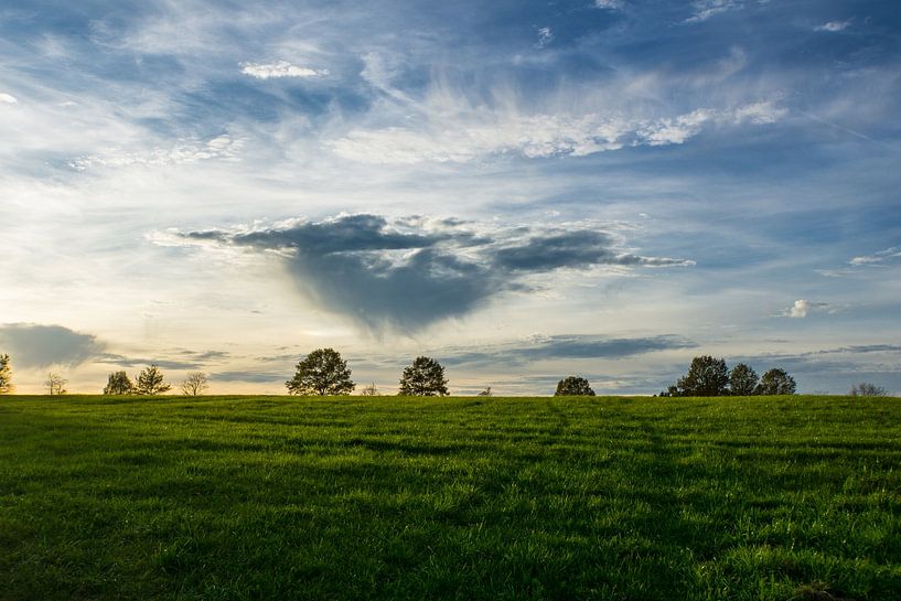 Schöne warme Abendlicht auf grüne Wiese mit Bäumen hinter von adventure-photos