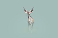 Koninklijke Kudu
