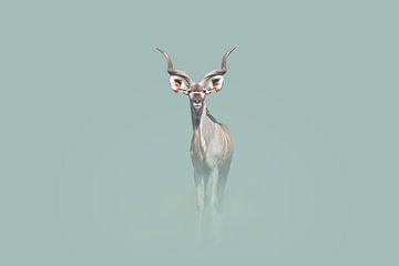 Kudu Royal