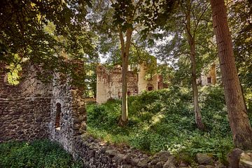 Ruïnes van het ridderkasteel Landskron van Stefan Dinse