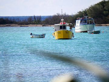 Vissersbootjes voor de kust van Puglia van Judith van Wijk