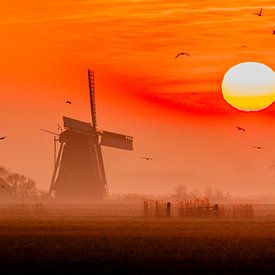 Zonsopkomst met molen, Lollum, Friesland. van Jaap Bosma Fotografie