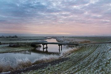 Winterlandschap in de Schermer van Ellen van Schravendijk