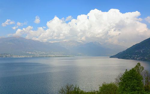 Seeblick - Lago Maggiore