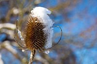 Winterwandeling