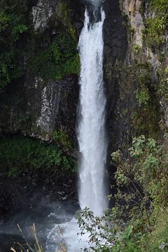 Wasserfall Mexiko von Daisy Gubbels