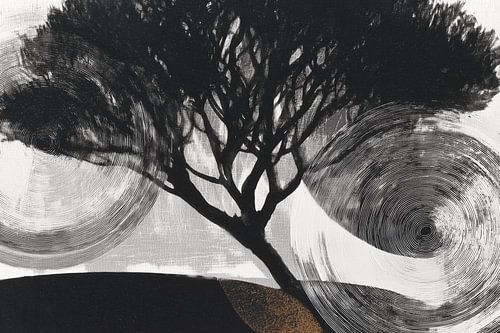 Boom tussen twee ringen