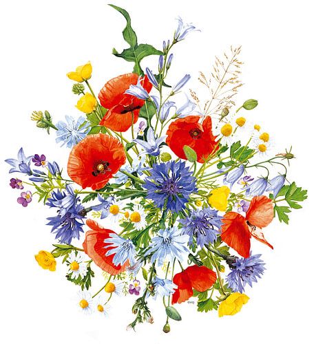 Blumenstrauß aus Feldblumen von Eke van Mansvelt Aquarell