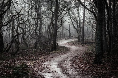 Fear no evil by Tvurk Photography