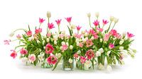 Tulips Still life 20201