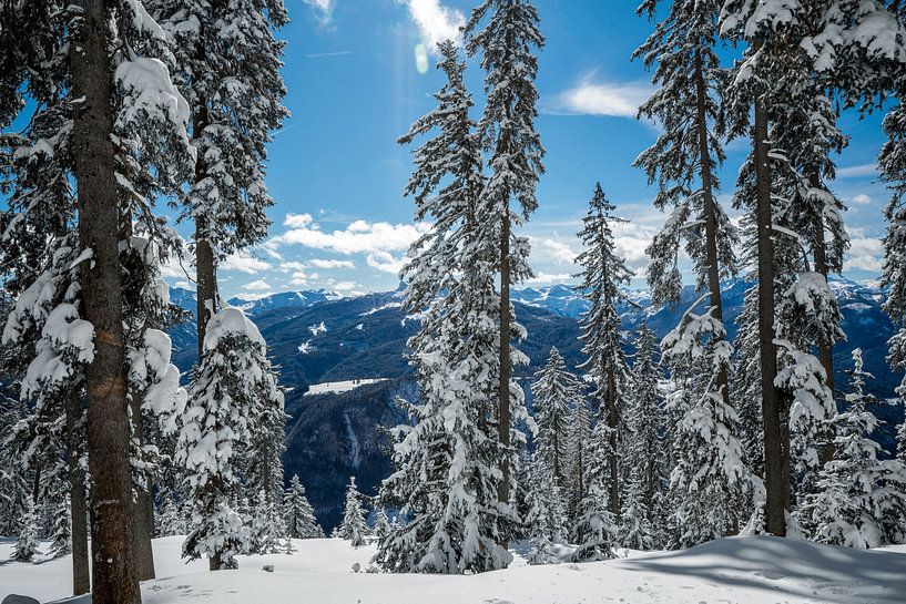 Filzmoos, Österreich von Jordy Kortekaas