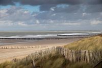 Zeelandschap