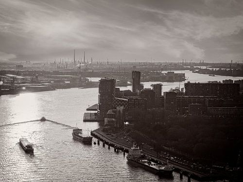 De Maas richting het Westen