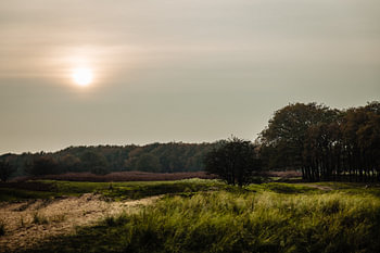 Dünen der Amsterdamer Wasserversorgung - De Zilk