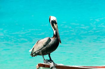 Wachten op een visje