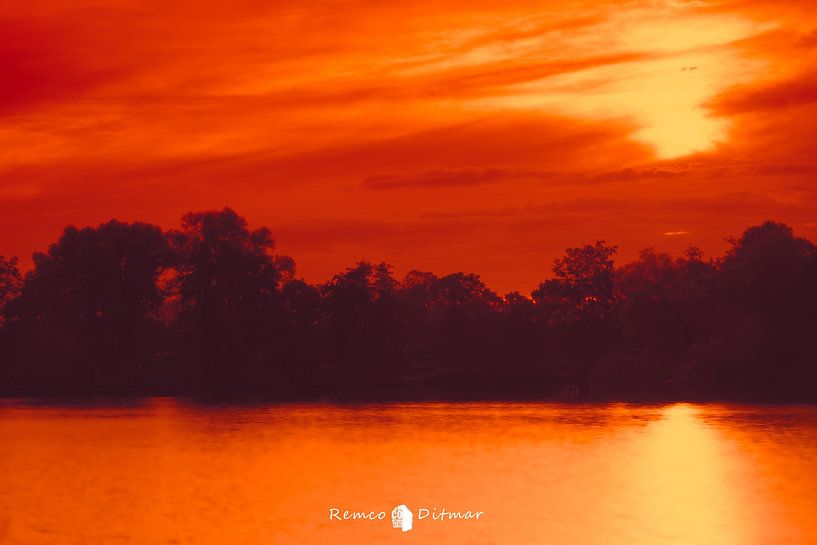 Fire Red Tears of the Day by Remco Ditmar