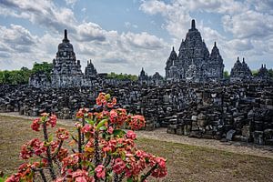 Die majestätischen Ruinen von Candi Sewu