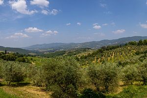 Die toskanische Landschaft bei Panzano in Chianti in Italien