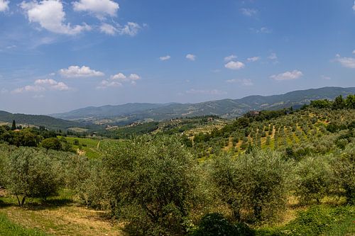 Het Toscaanse landschap bij Panzano in Chianti in Italië