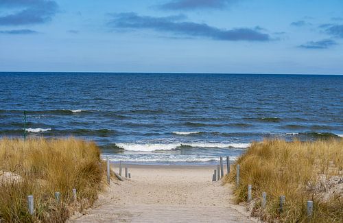 Strandweg an der Ostsee auf Usedom von Animaflora PicsStock
