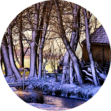 winter landschap  van Niels  de Vries