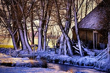 winter landschap  van Niels  de Vries