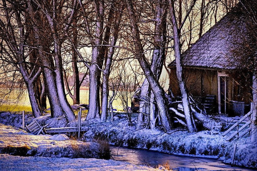 paysage hivernal  par Niels  de Vries