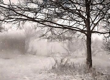 Winterse sfeer met sneeuwval van Frank Heinz