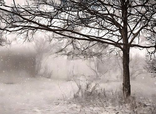 Winterse sfeer met sneeuwval
