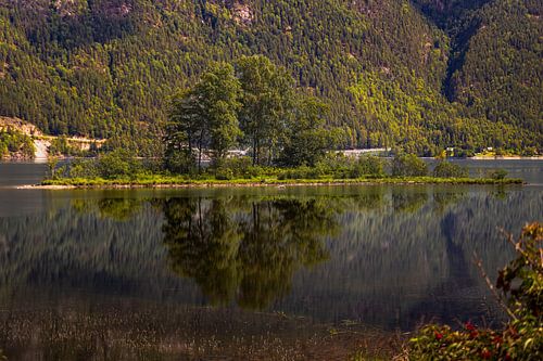 Stillness of the Green Island