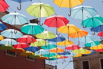 Paraplu's van Eric Verhoeven