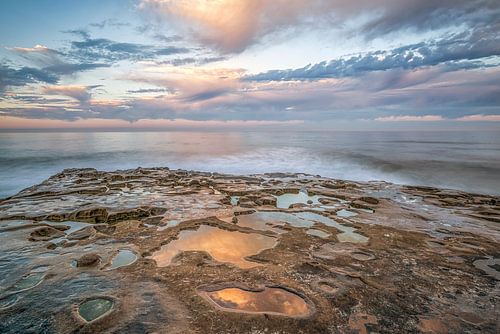 Réflexions sur le récif - Côte de La Jolla