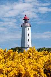 Lighthouse Dornbusch by Stephan Schulz