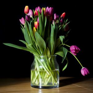 Tulpen 
