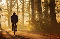 Silhouette of a mountainbiker in autumn by Martin Bergsma thumbnail