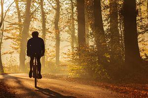 Silhouette eines Mountainbikers im Herbst