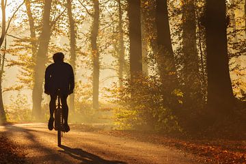 Silhouette of a mountainbiker in autumn by Martin Bergsma
